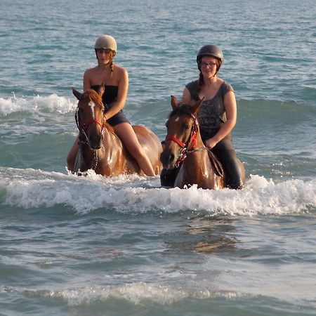 Patara Ranch Hotel المظهر الخارجي الصورة